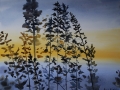 Prairie Sunset