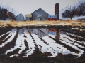 Spring Field