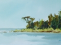 Toft Point