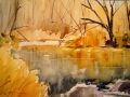 Pigeon River