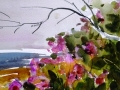 Beach Lilacs