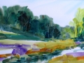 Onion River