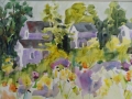 Wildflowers