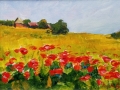 Poppy Field