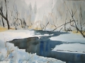 Winter Reflection